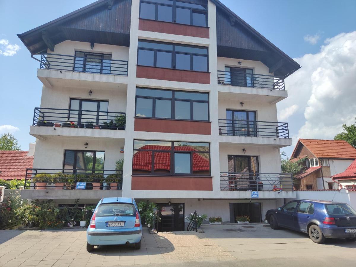 Studioul De Vis Lägenhet Braşov Exteriör bild