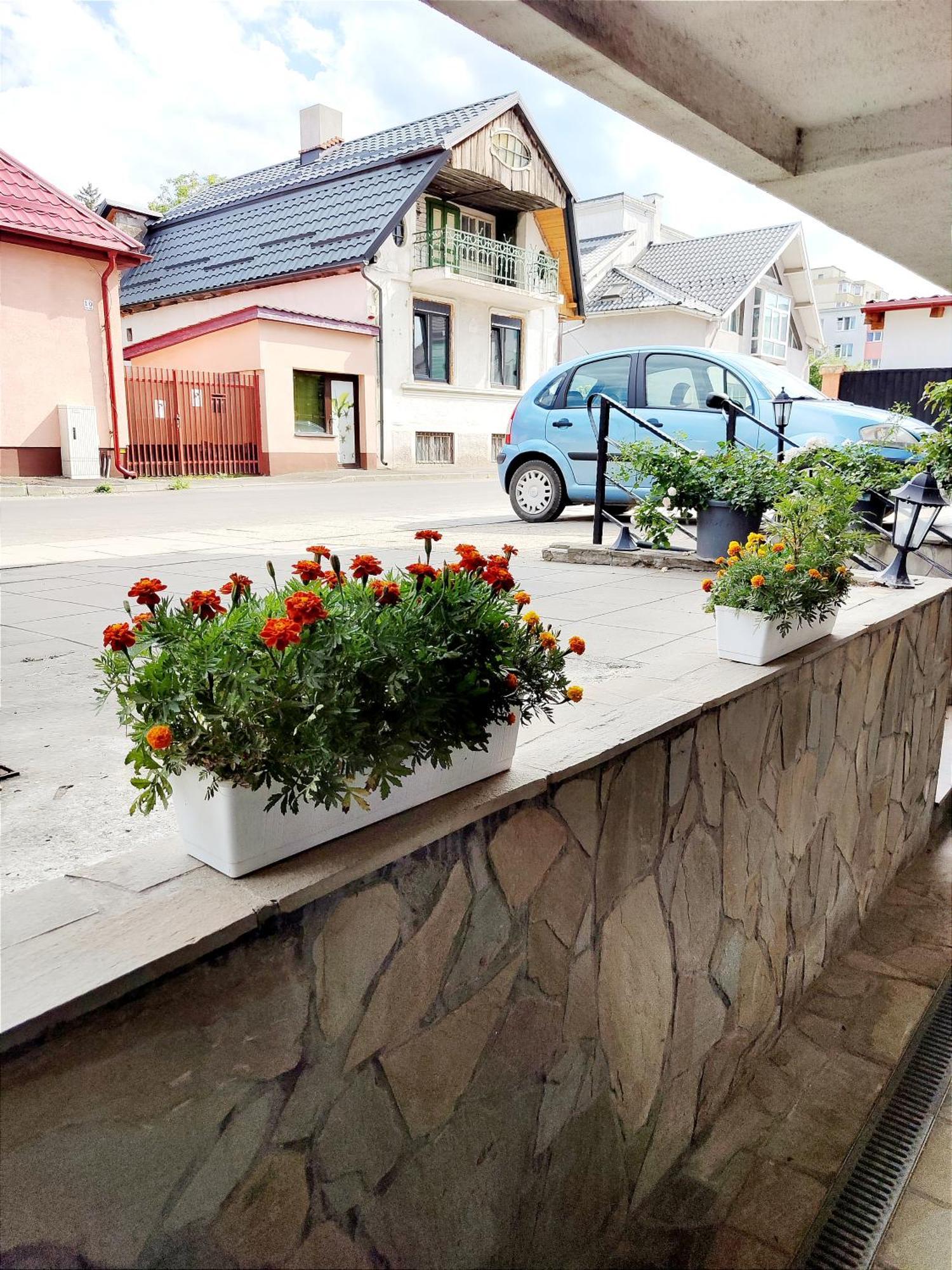 Studioul De Vis Lägenhet Braşov Exteriör bild